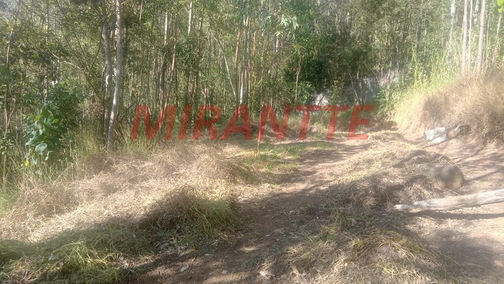 Terreno de 6000m² em PARQUE PETROPOLIS
