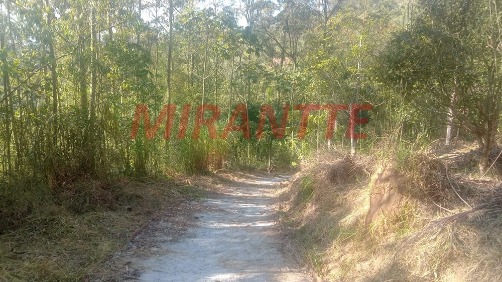 Terreno de 6000m² em PARQUE PETROPOLIS
