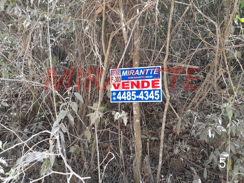 Terreno de 5578m² em Serra Da Cantareira
