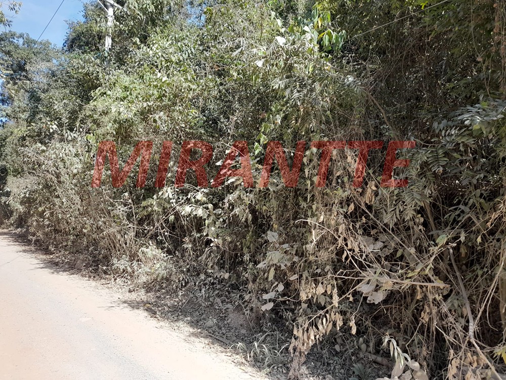 Terreno de 5578m² em Serra Da Cantareira