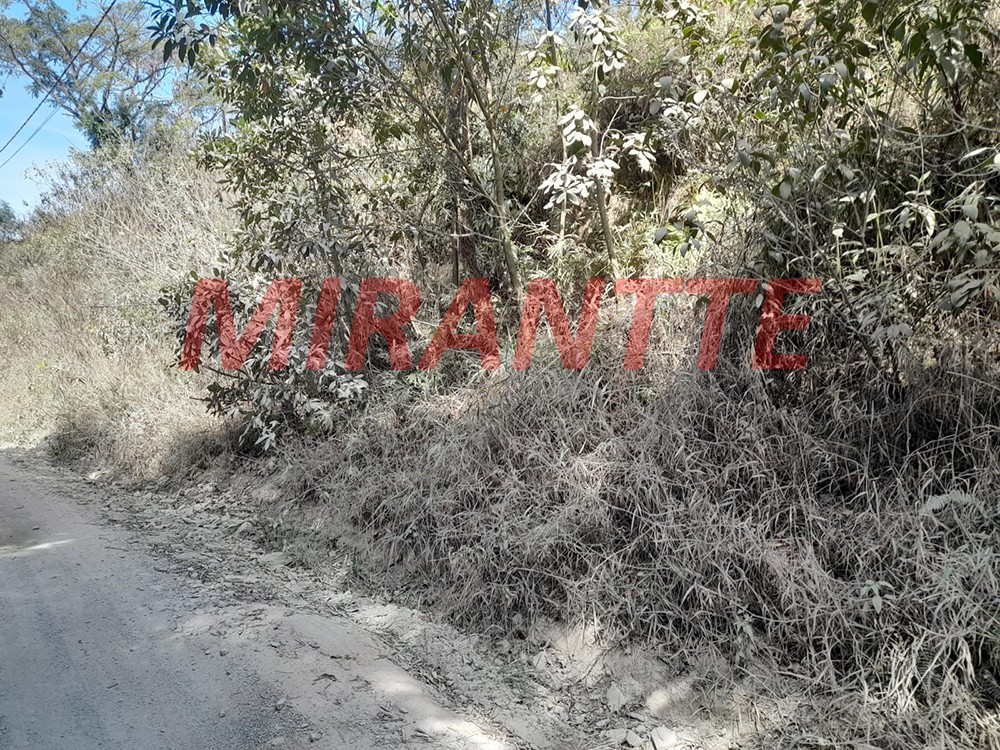 Terreno de 6000m² em Serra Da Cantareira