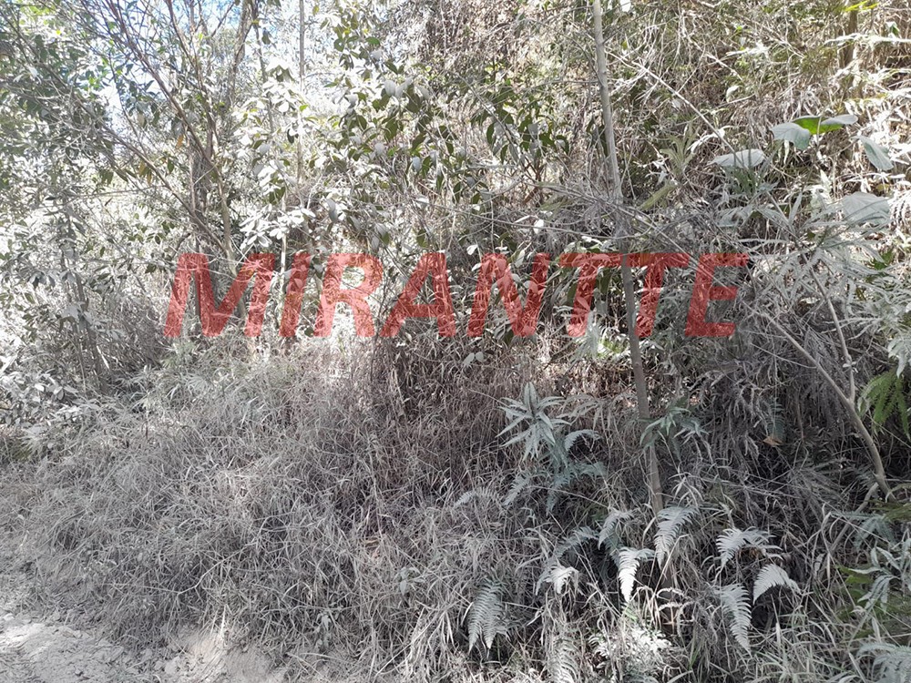 Terreno de 6000m² em Serra Da Cantareira