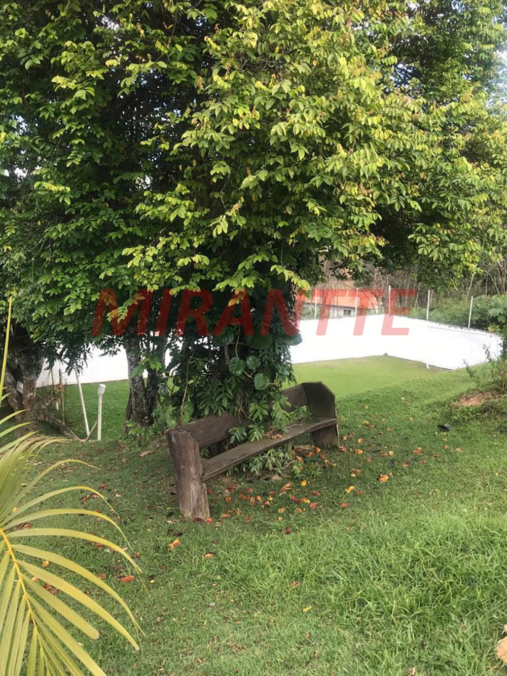 Sobrado de 600m² com 3 quartos em Terra Preta