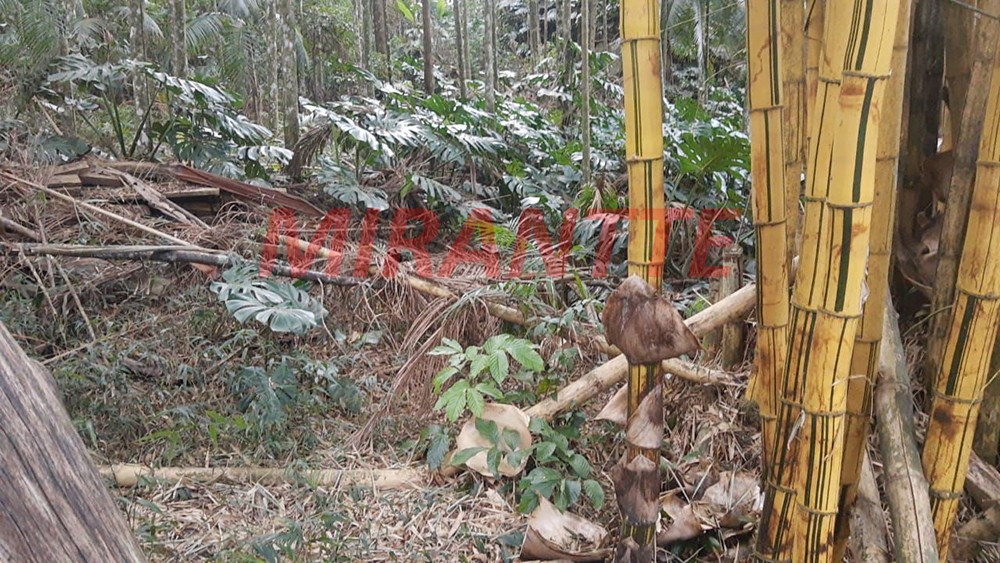 Terreno de 1.323m² em SANTA IN