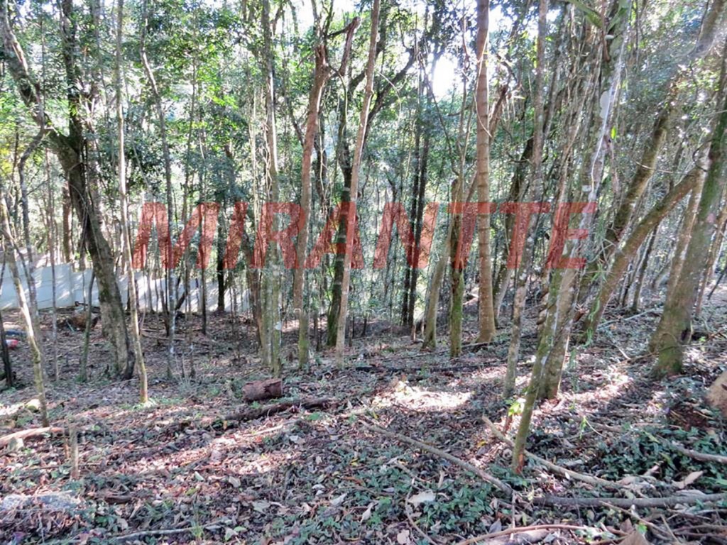Terreno de 1250m² em Jardim Samambaia – Mairiporã