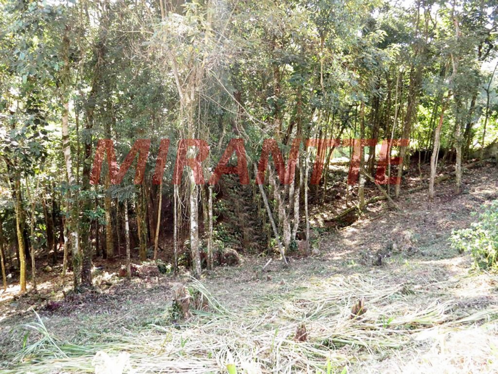 Terreno de 1250m² em Jardim Samambaia – Mairiporã