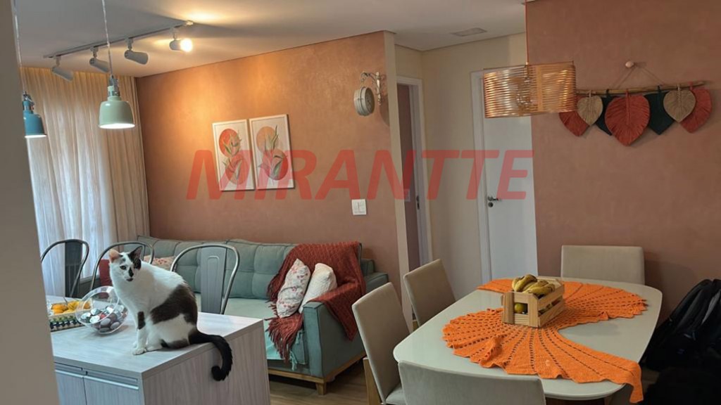 Apartamento com 2 quartos em Bela Vista