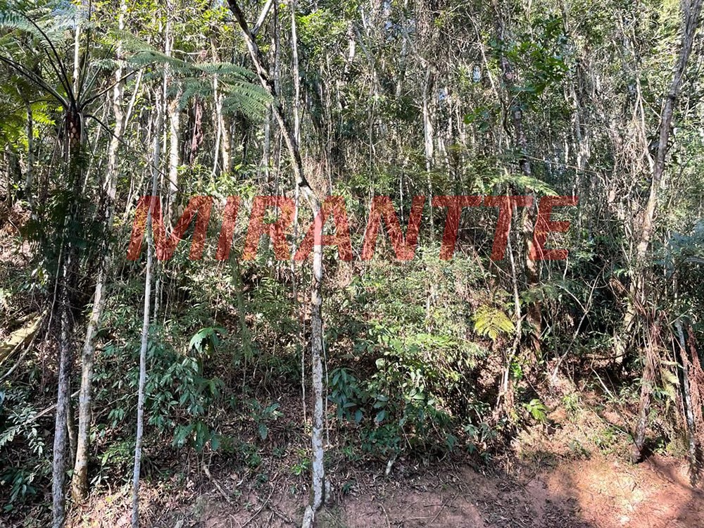 Terreno de 1281m² em Serra da Cantareira