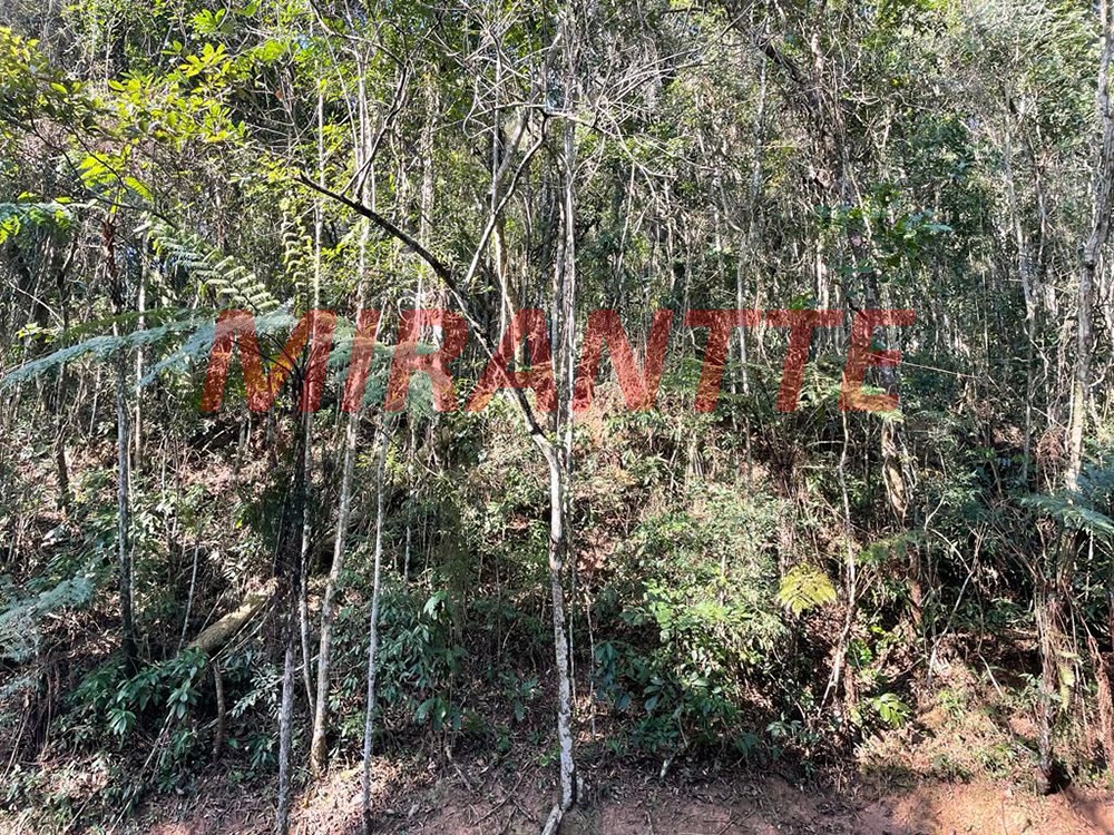 Terreno de 1281m² em Serra da Cantareira
