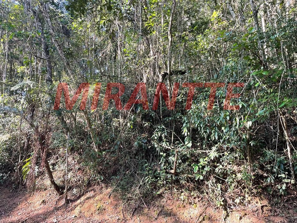 Terreno de 1281m² em Serra da Cantareira