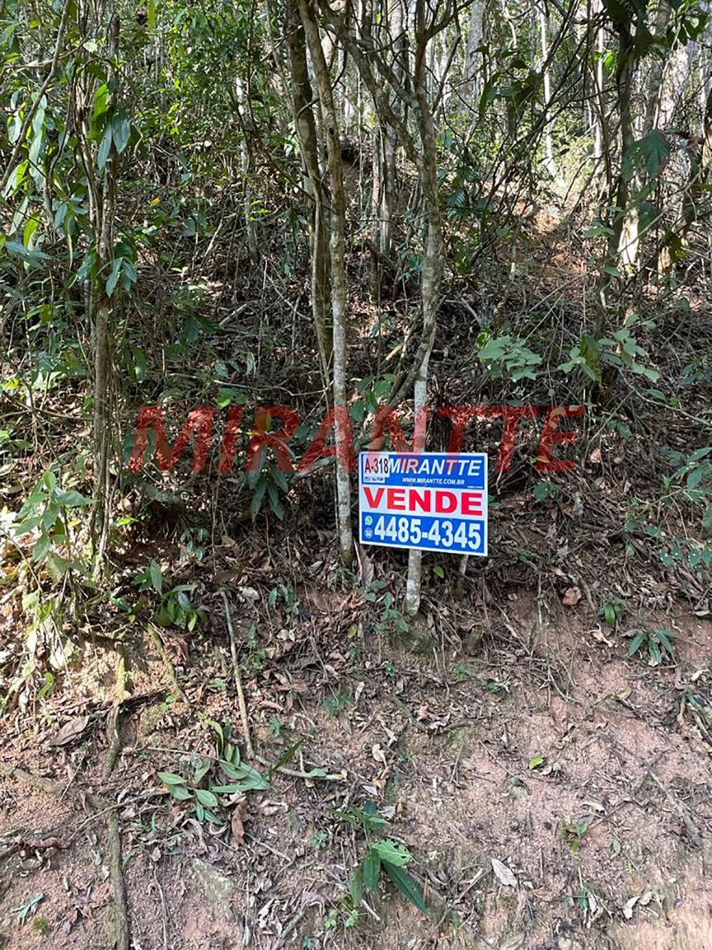 Terreno de 1281m² em Serra da Cantareira