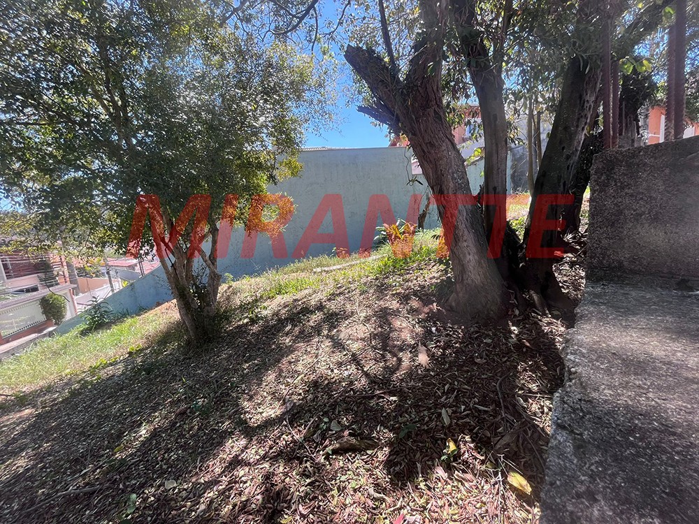 Terreno de 230m² em Jardim Virginia Bianca