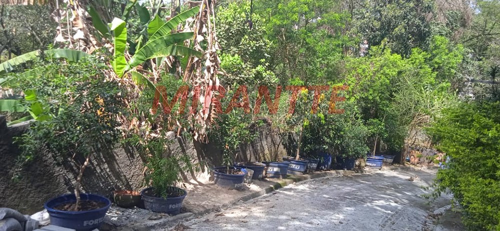 Terreno de 278m² em Vila Albertina
