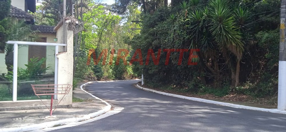 Terreno de 278m² em Vila Albertina