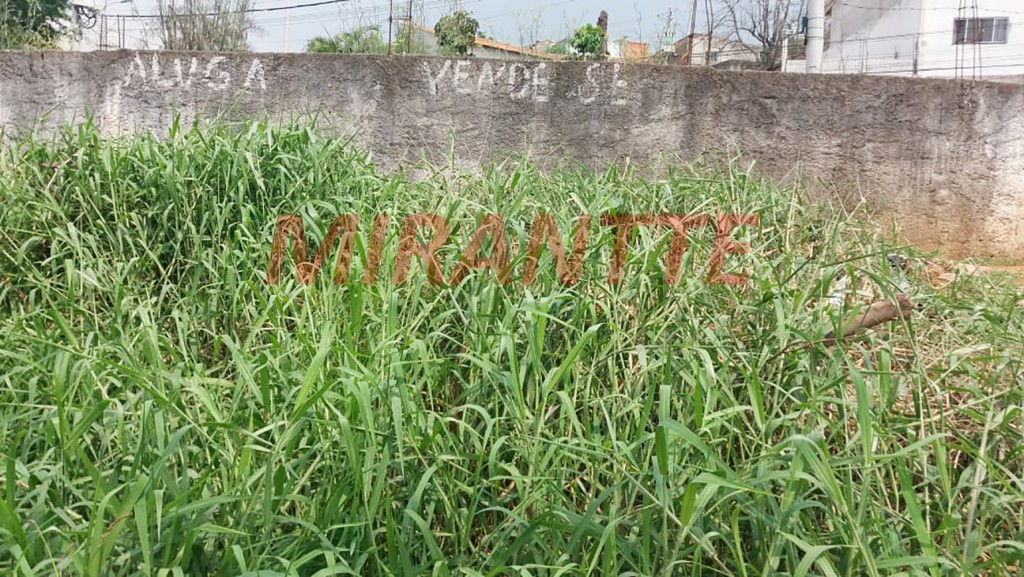 Terreno de 525m² em Residencial Pamela
