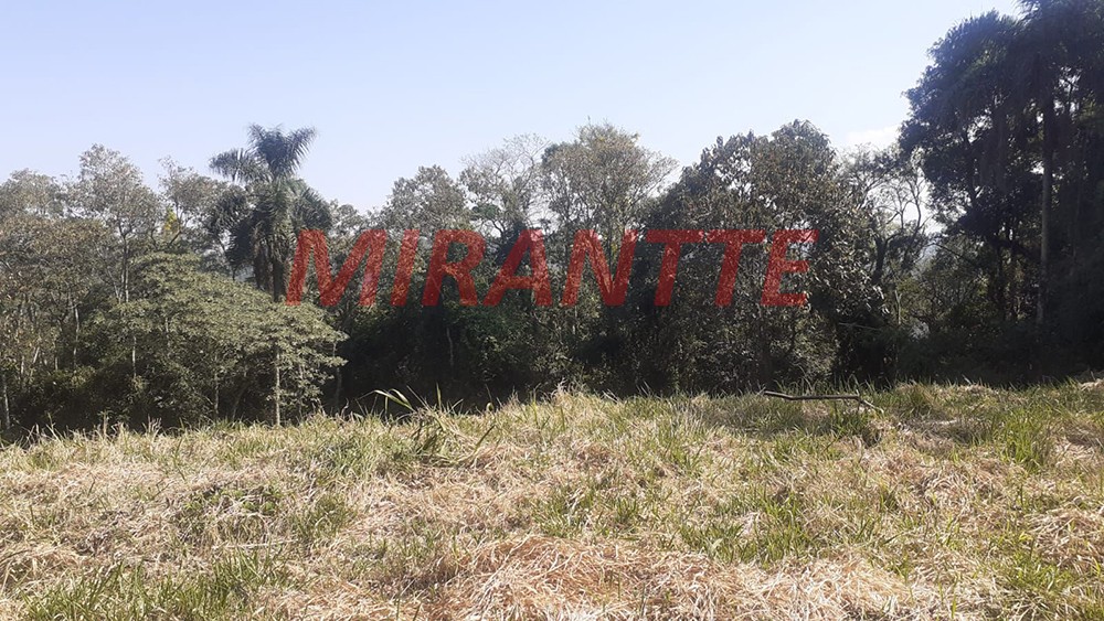 Terreno de 20000m² em Serra da Cantareira