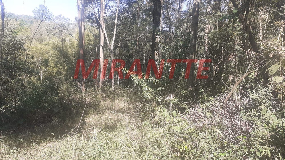 Terreno de 20000m² em Serra da Cantareira