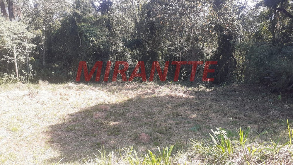 Terreno de 20000m² em Serra da Cantareira