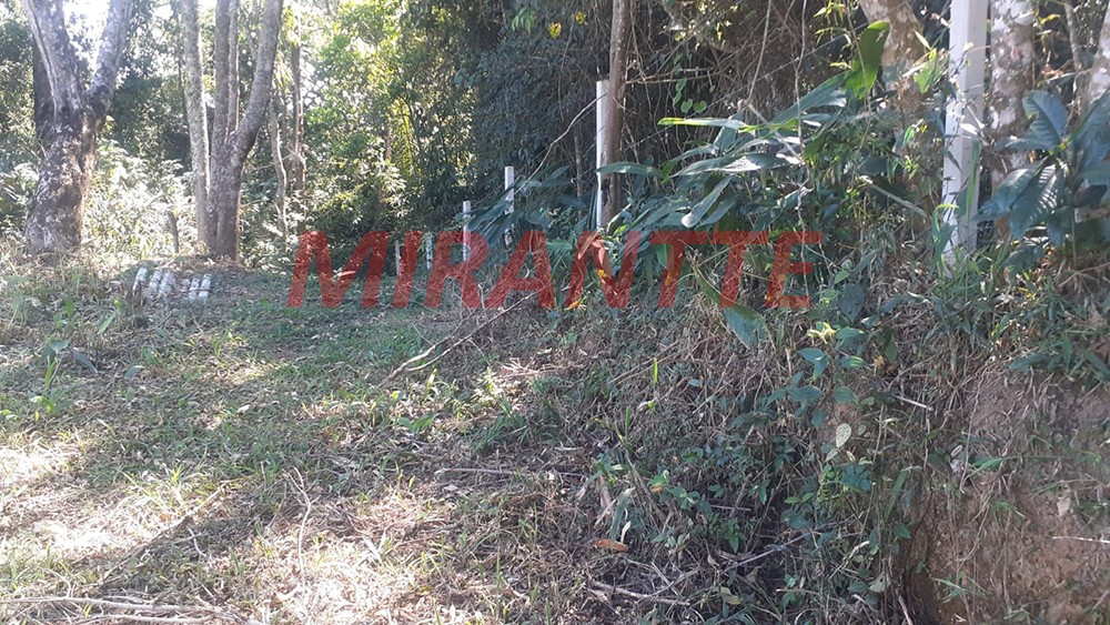 Terreno de 20000m² em Serra da Cantareira