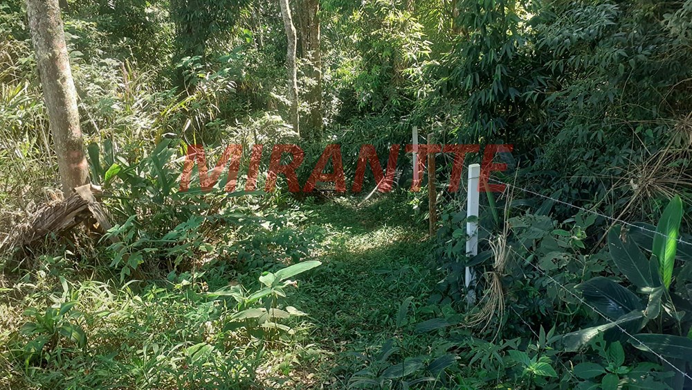 Terreno de 20000m² em Serra da Cantareira