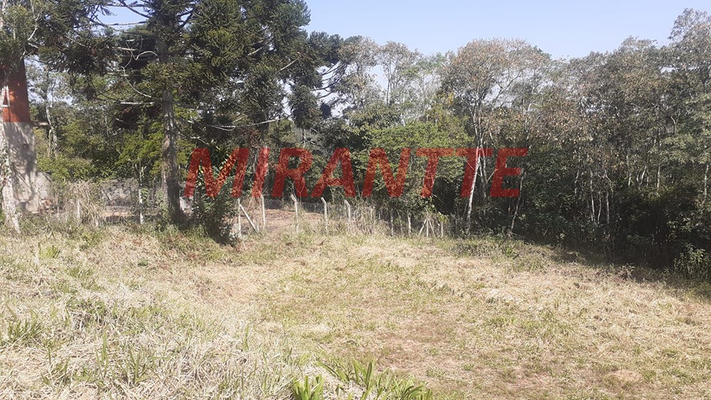 Terreno de 20000m² em Serra da Cantareira