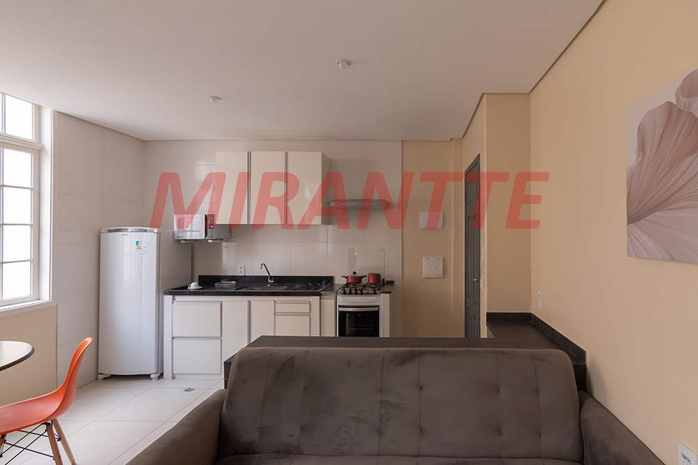 Apartamento de 45m² com 1 quartos em Santa Efigenia
