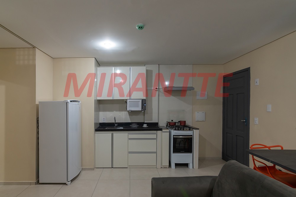 Apartamento de 43m² com 1 quarto em Santa Efigenia