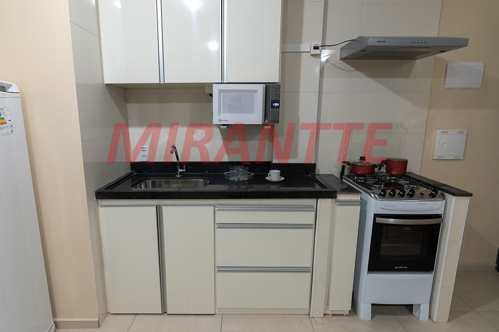 Apartamento de 43m² com 1 quarto em Santa Efigenia