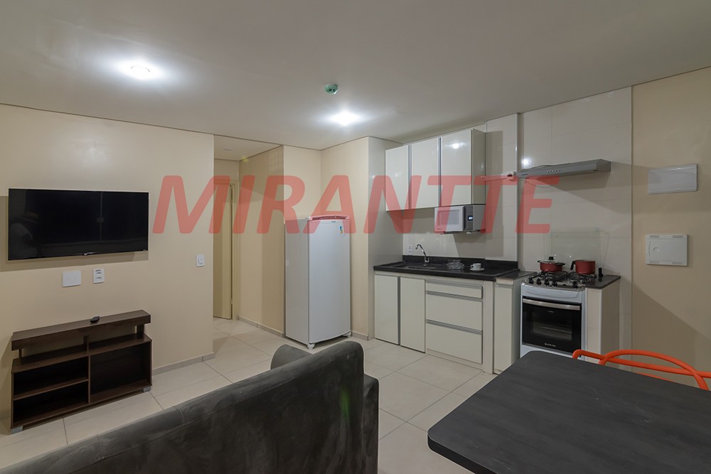 Apartamento de 43m² com 1 quarto em Santa Efigenia