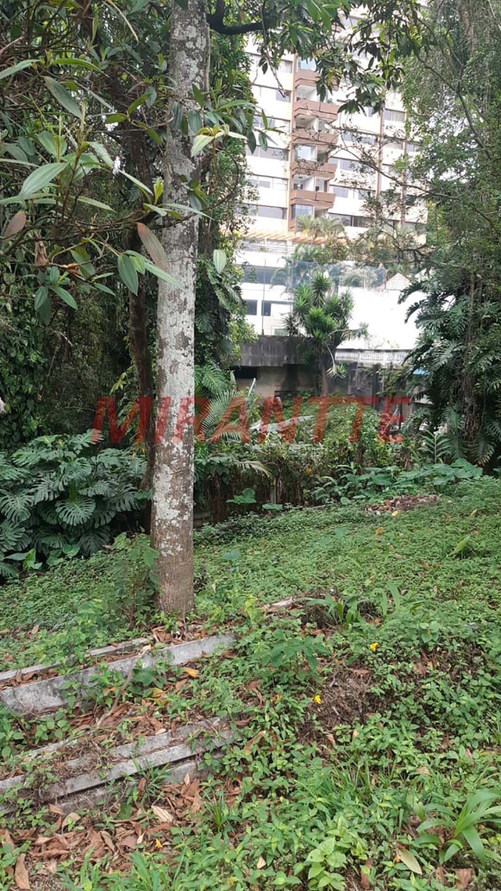 Terreno de 990m² em Jardim Floresta