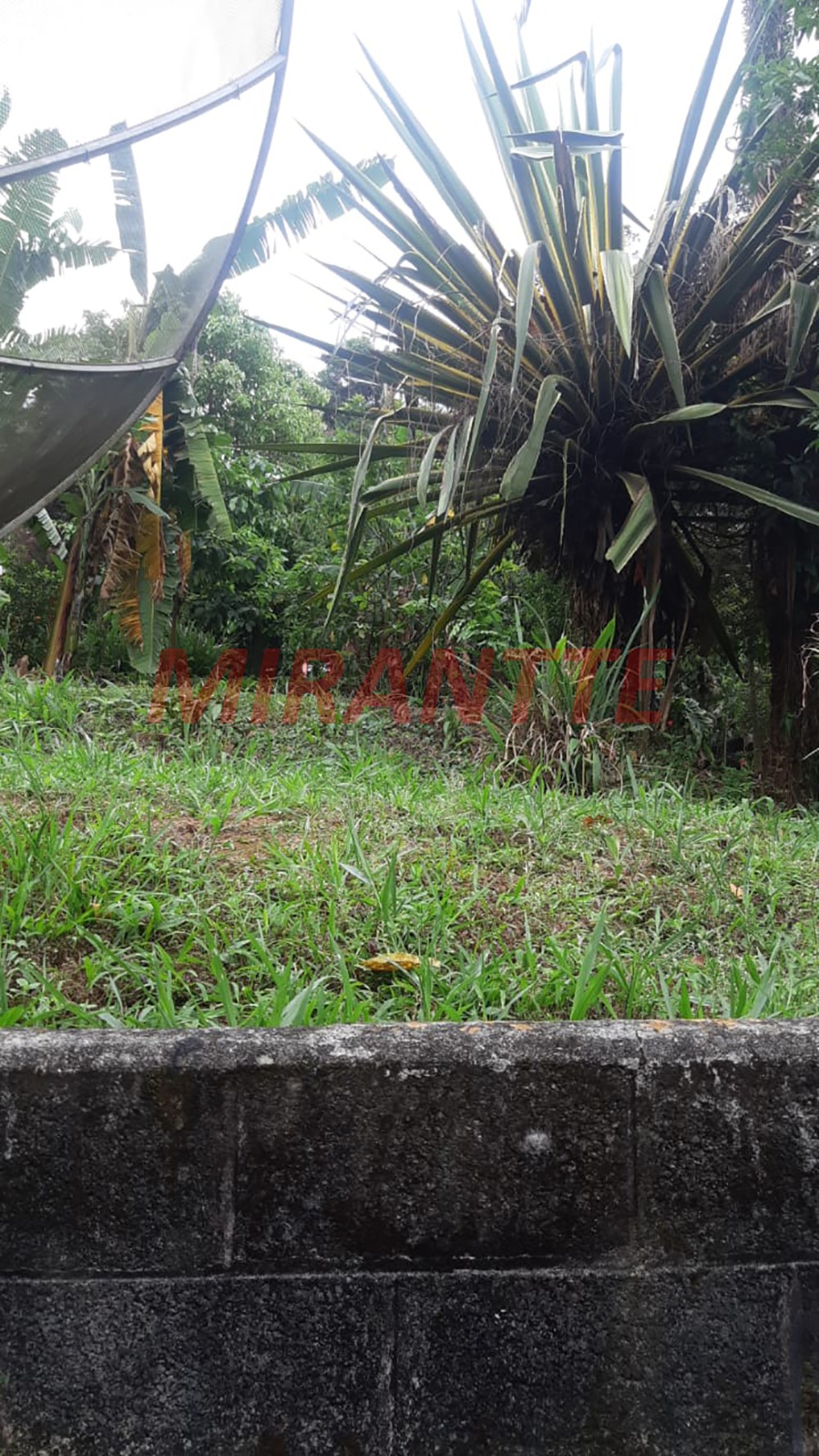 Terreno de 990m² em Jardim Floresta