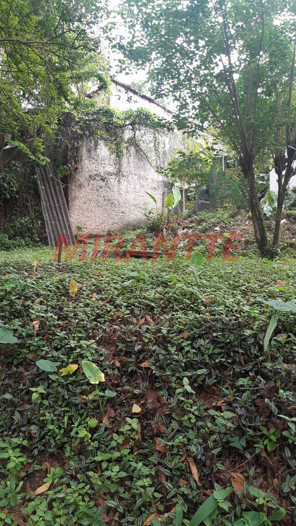 Terreno de 990m² em Jardim Floresta