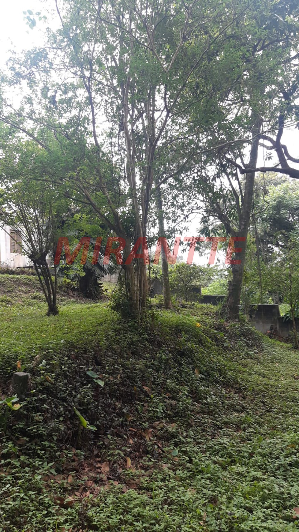Terreno de 990m² em Jardim Floresta