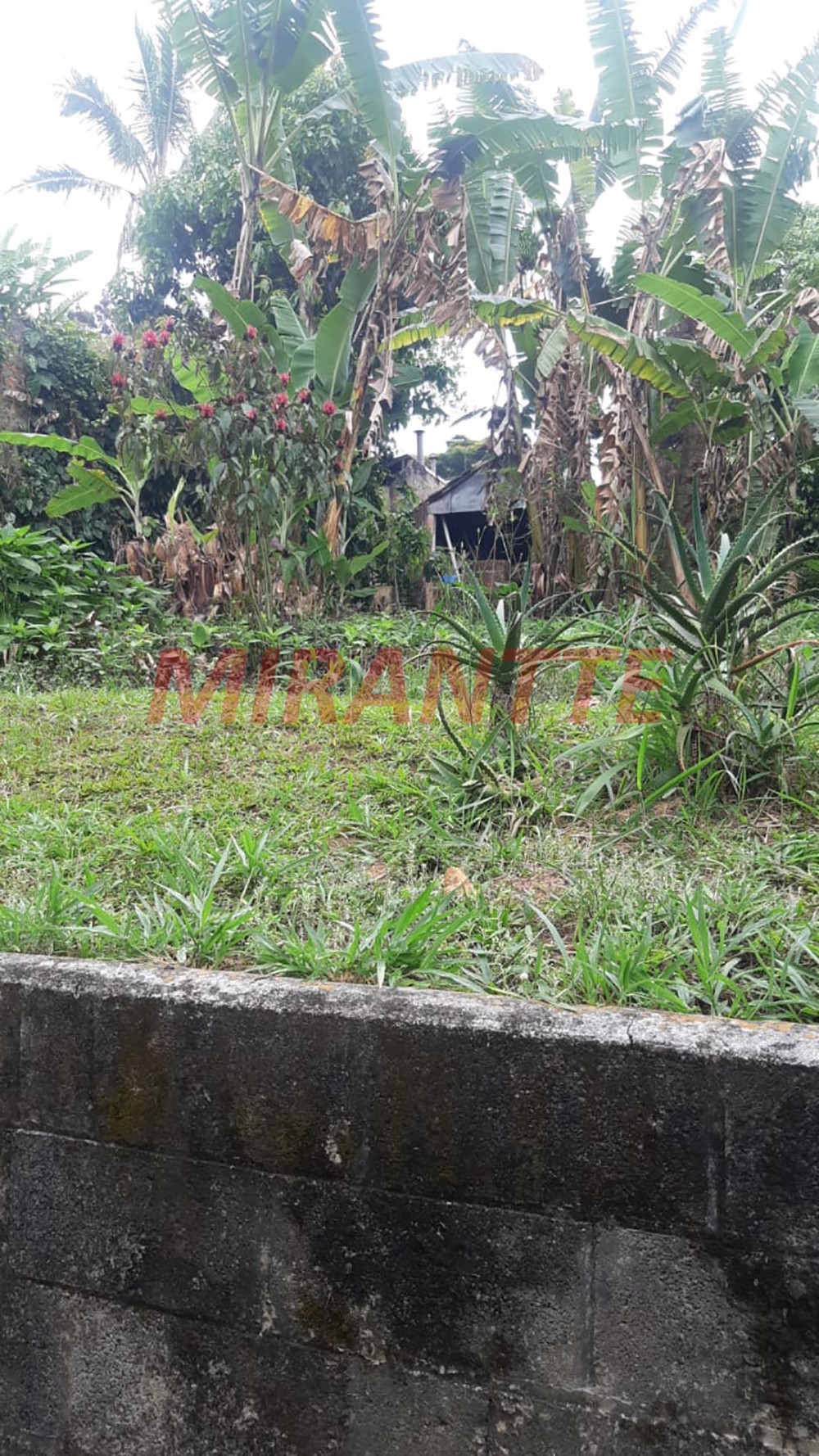 Terreno de 990m² em Jardim Floresta