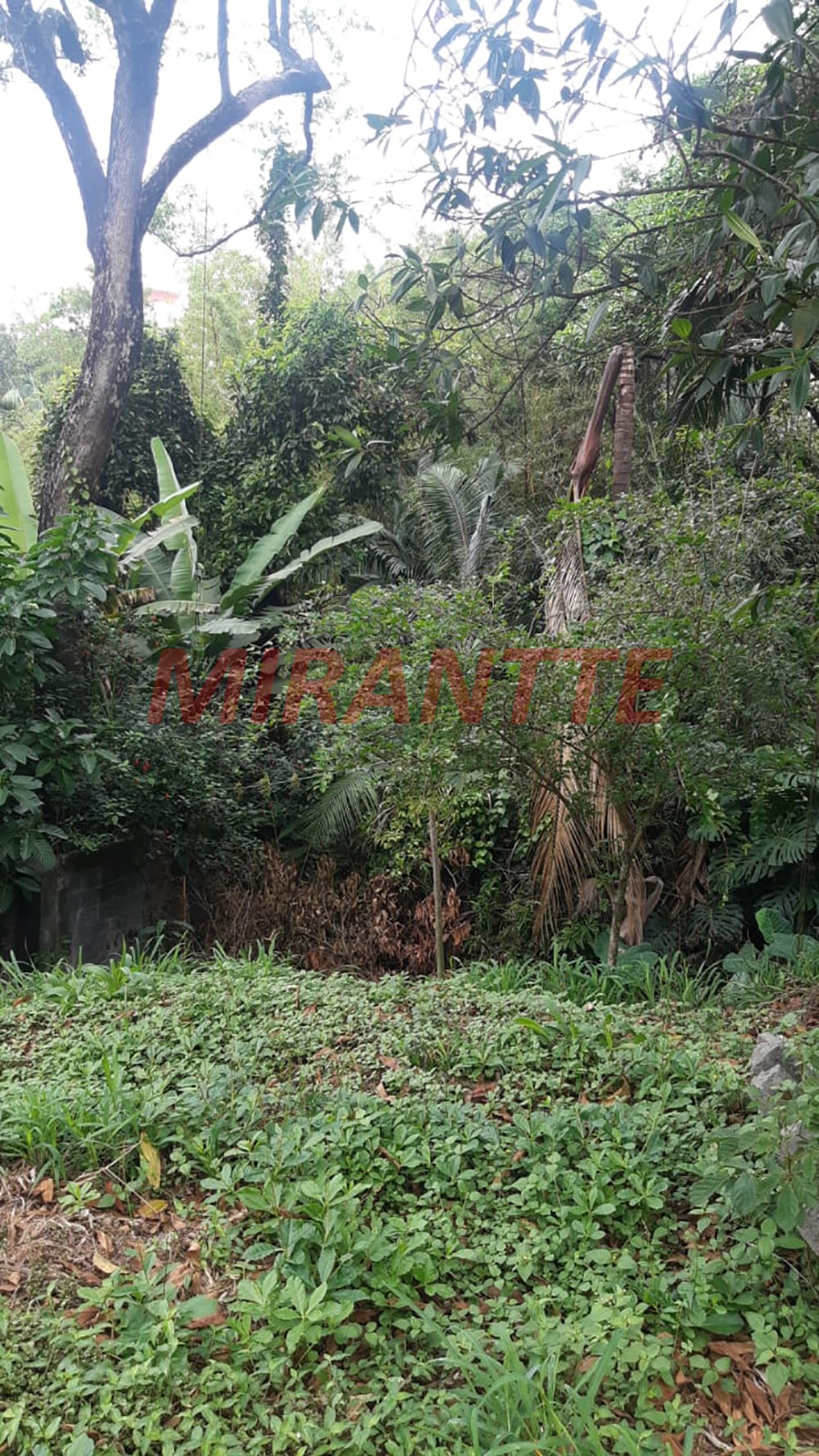 Terreno de 990m² em Jardim Floresta