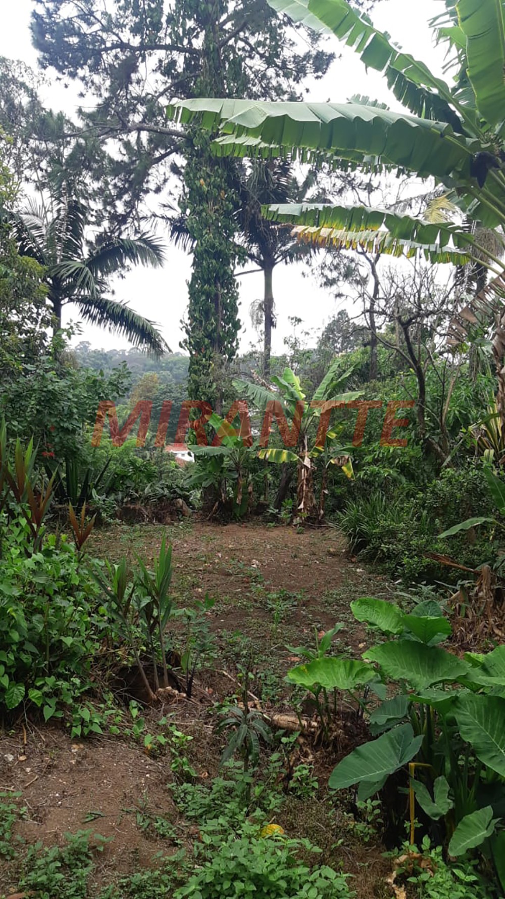Terreno de 1080m² em Jardim Floresta