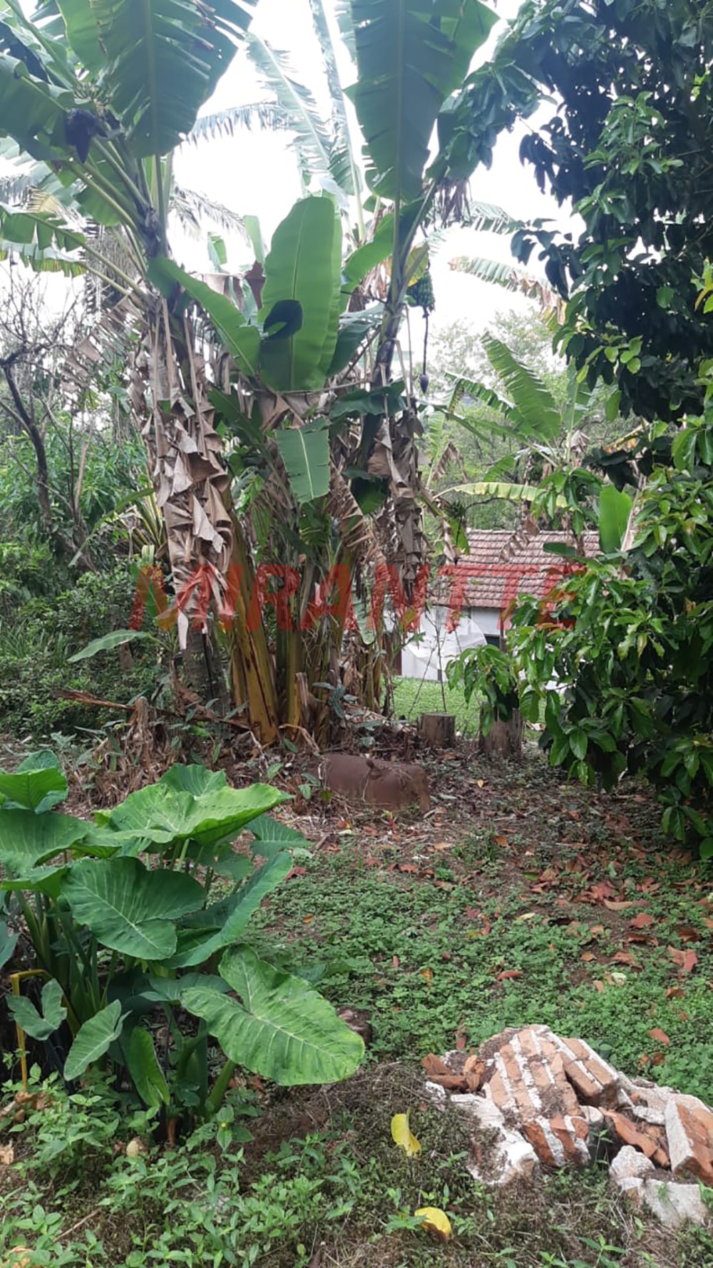 Terreno de 1080m² em Jardim Floresta