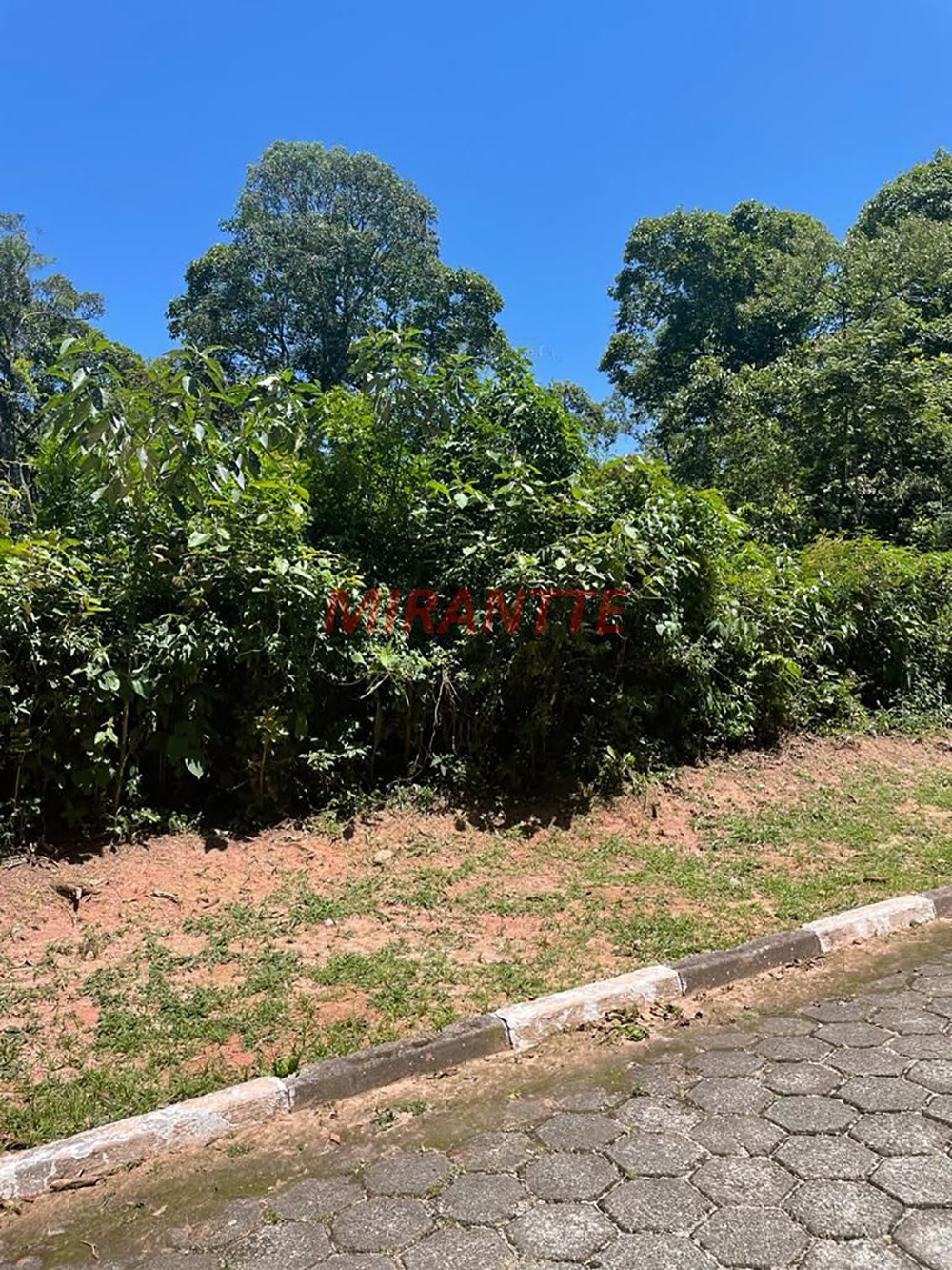 Terreno de 1000m² em Serra Da Cantareira