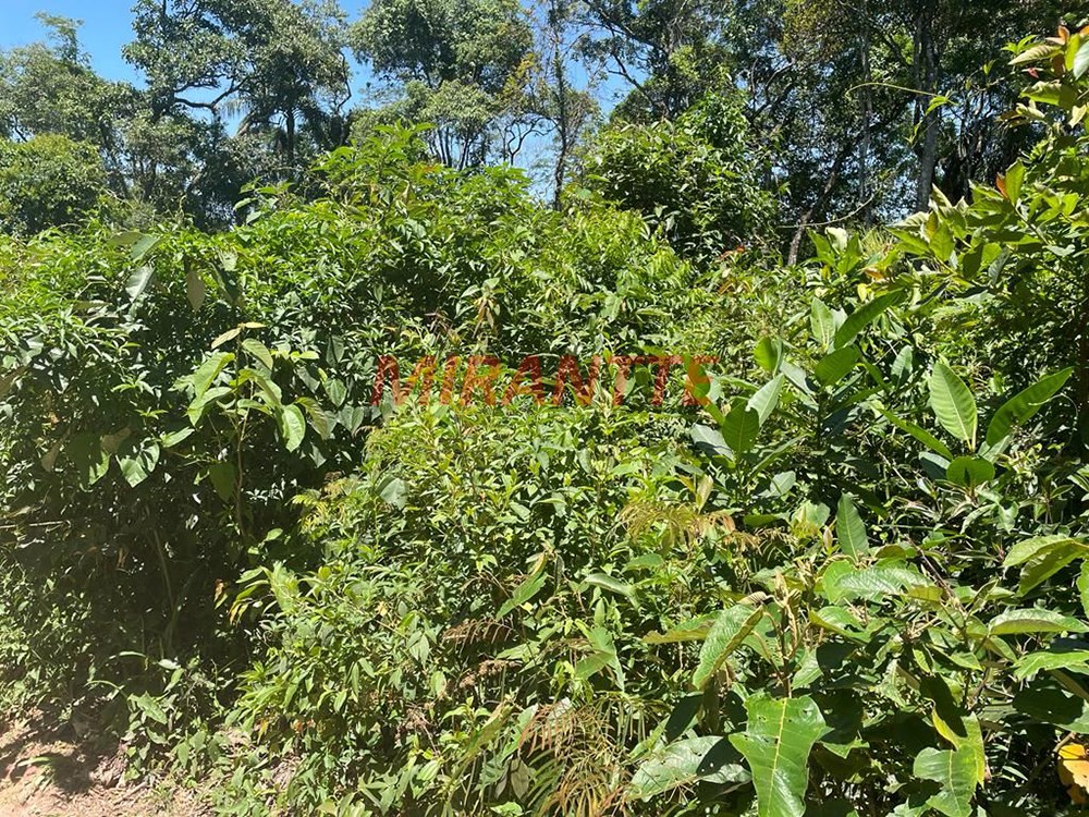 Terreno de 1000m² em Serra Da Cantareira