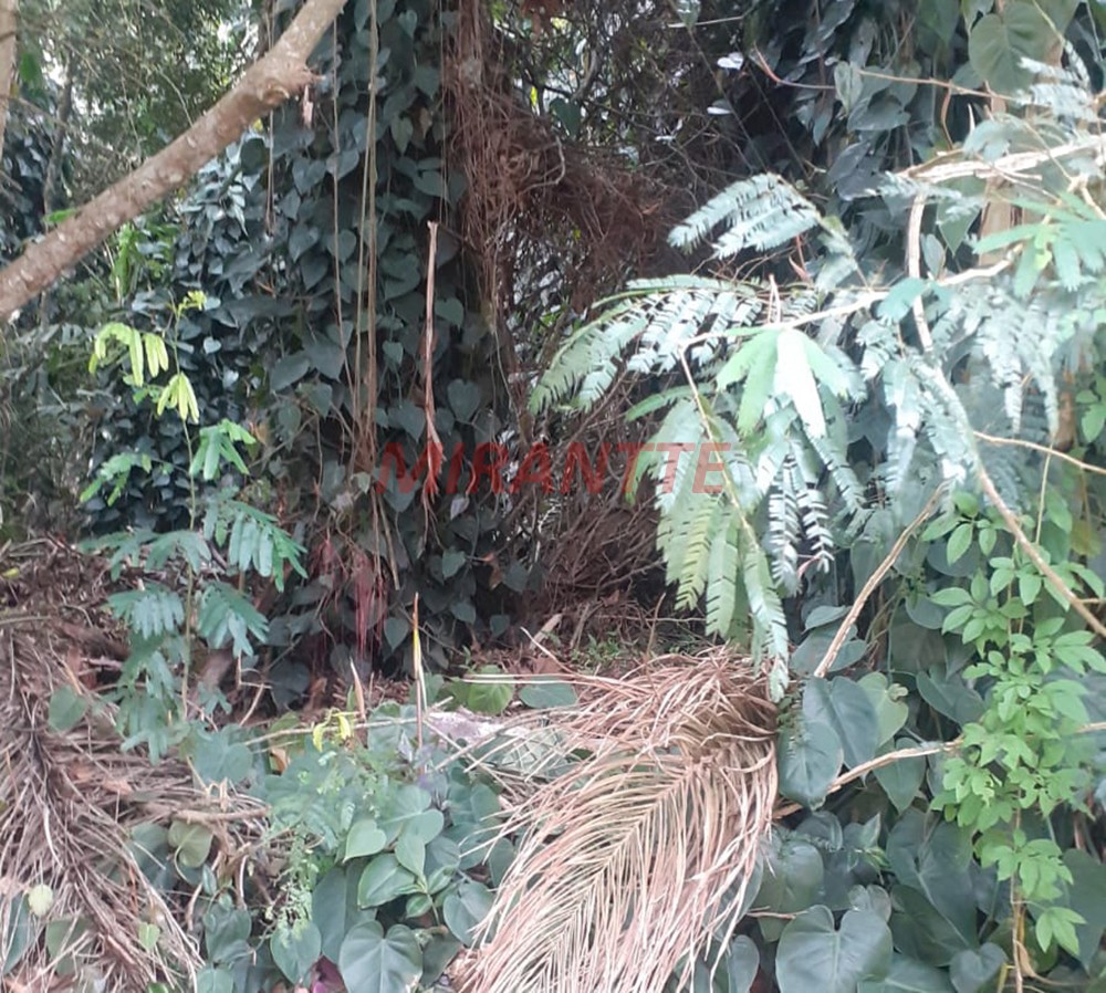 Terreno de 1133m² em Parque Petropolis