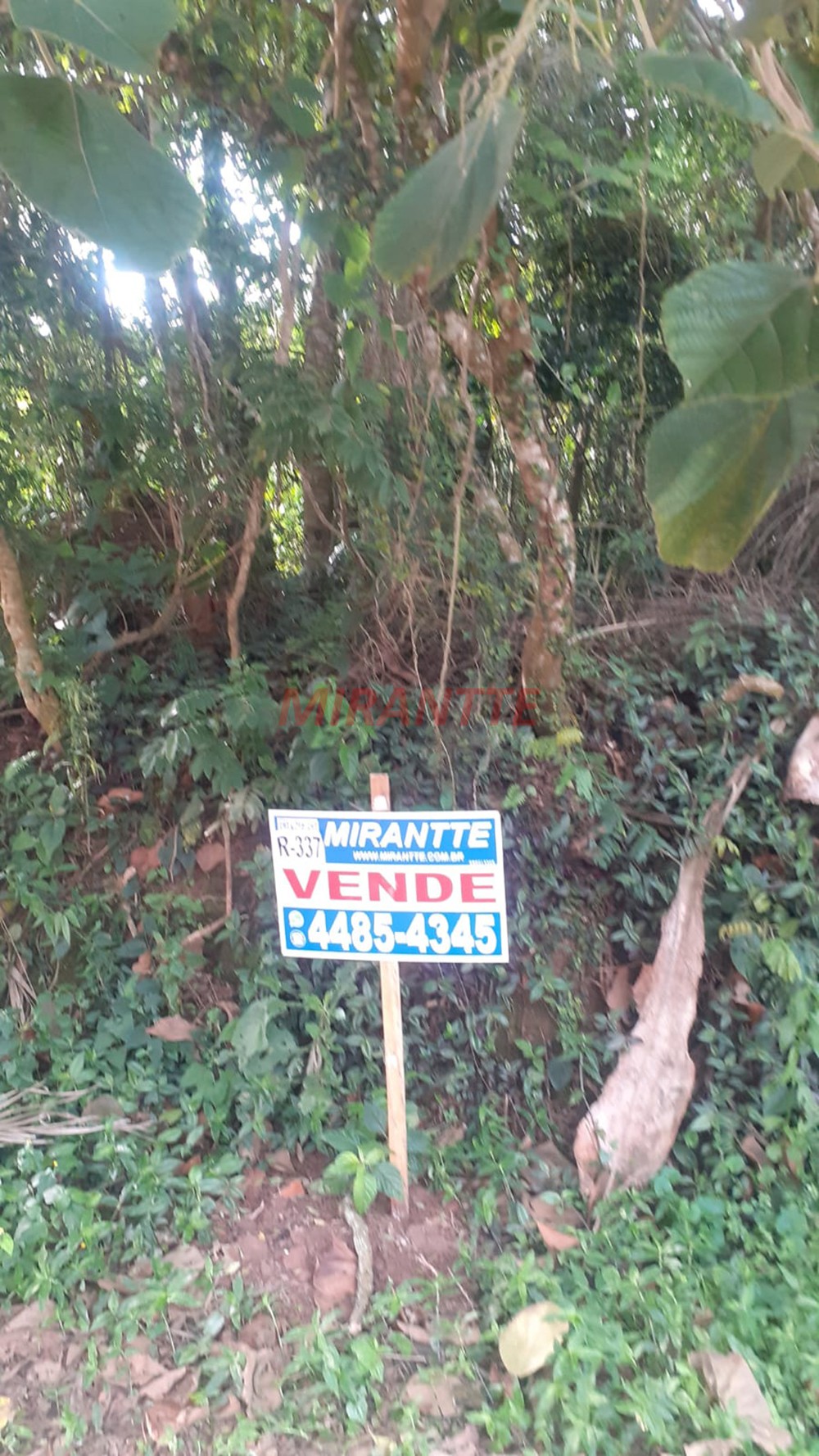 Terreno de 1133m² em Parque Petropolis