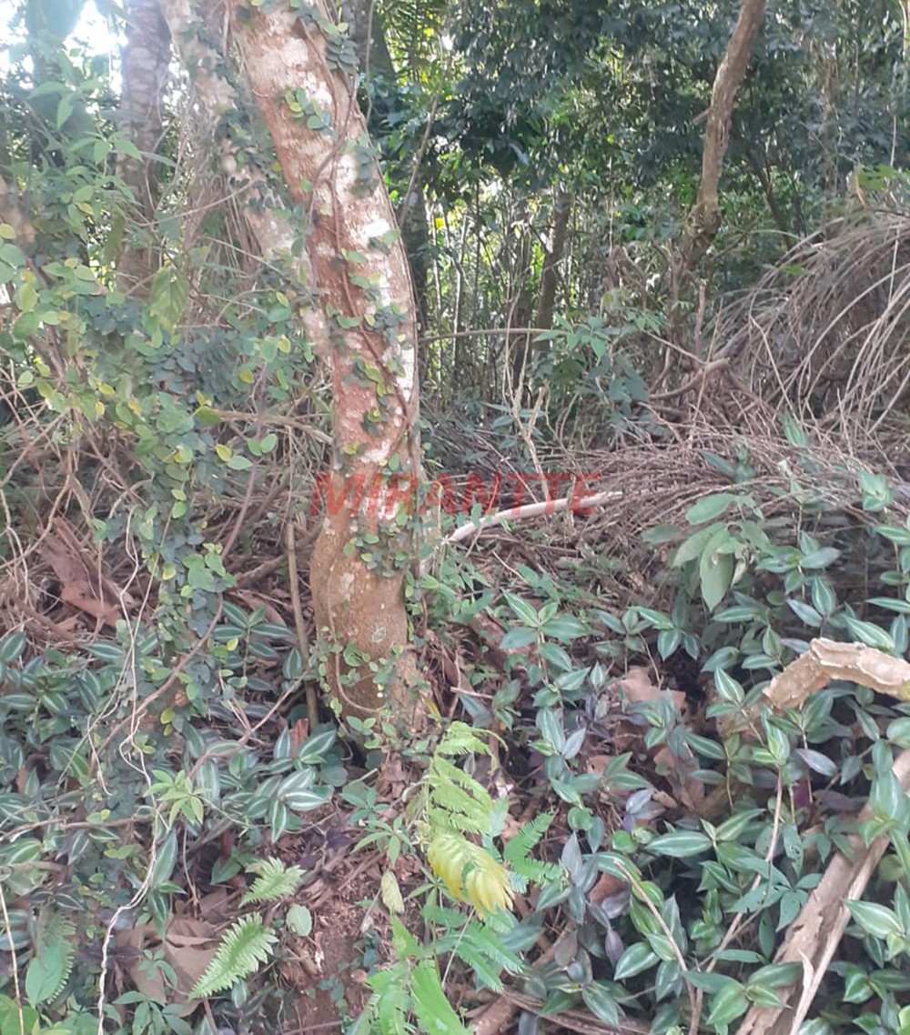 Terreno de 1133m² em Parque Petropolis