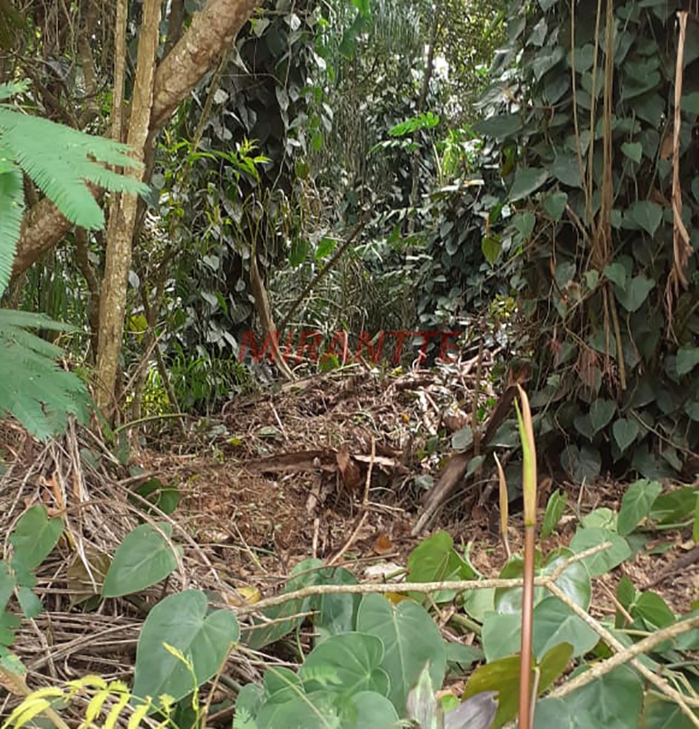 Terreno de 1133m² em Parque Petropolis