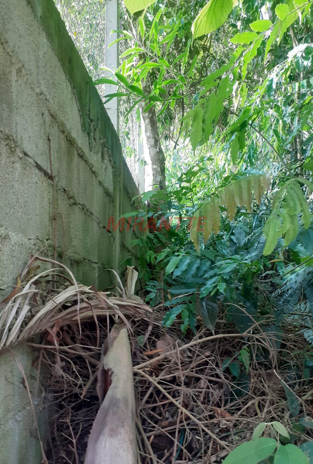 Terreno de 1133m² em Parque Petropolis