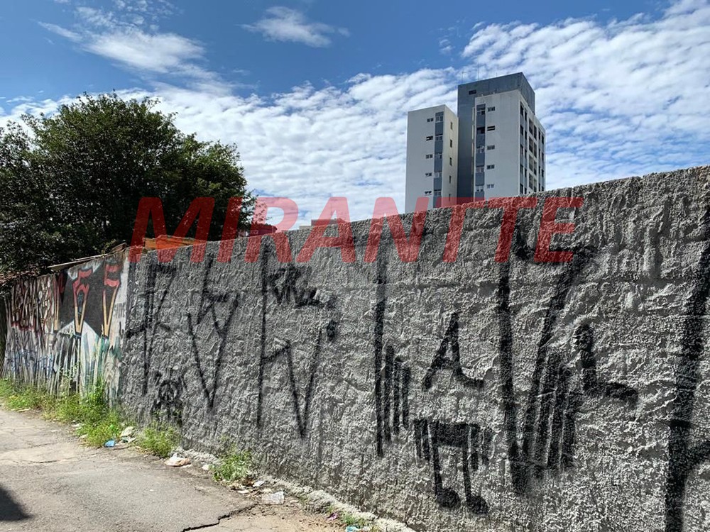 Terreno de 244m² em Lauzane Paulista