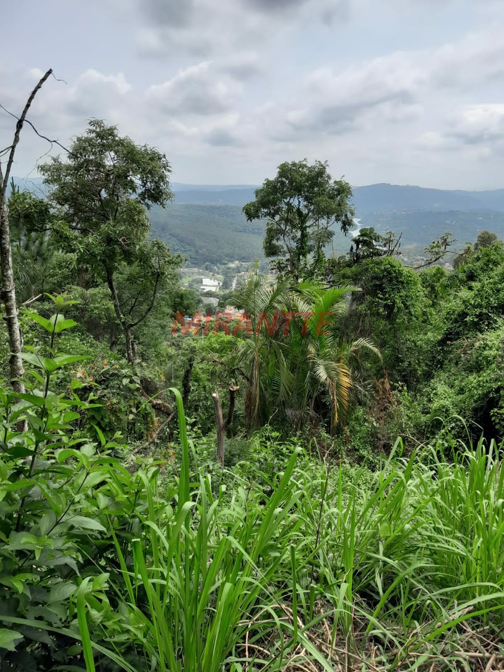 Terreno de 1754m² em Caieras