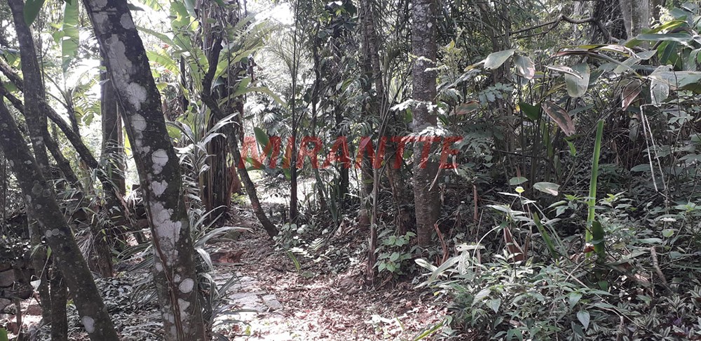 Terreno de 1754m² em Caieras