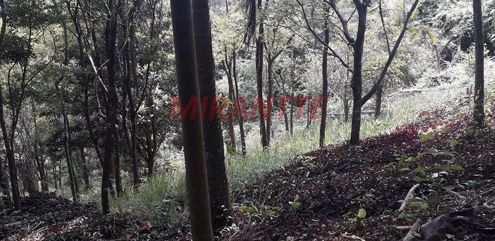 Terreno de 1754m² em Caieras