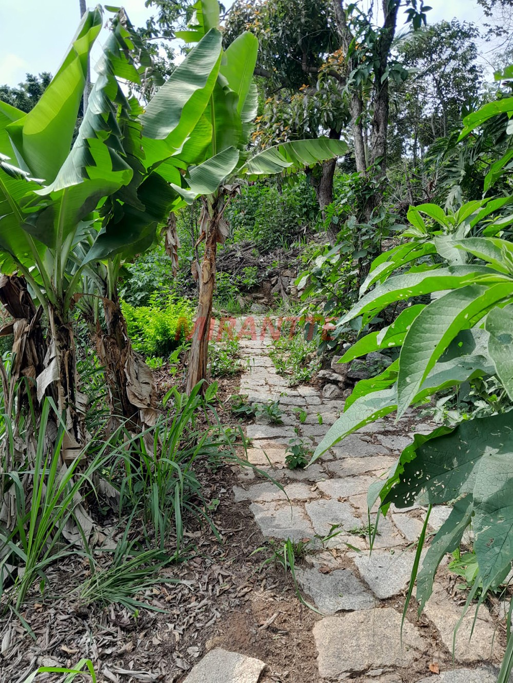 Terreno de 1754m² em Caieras