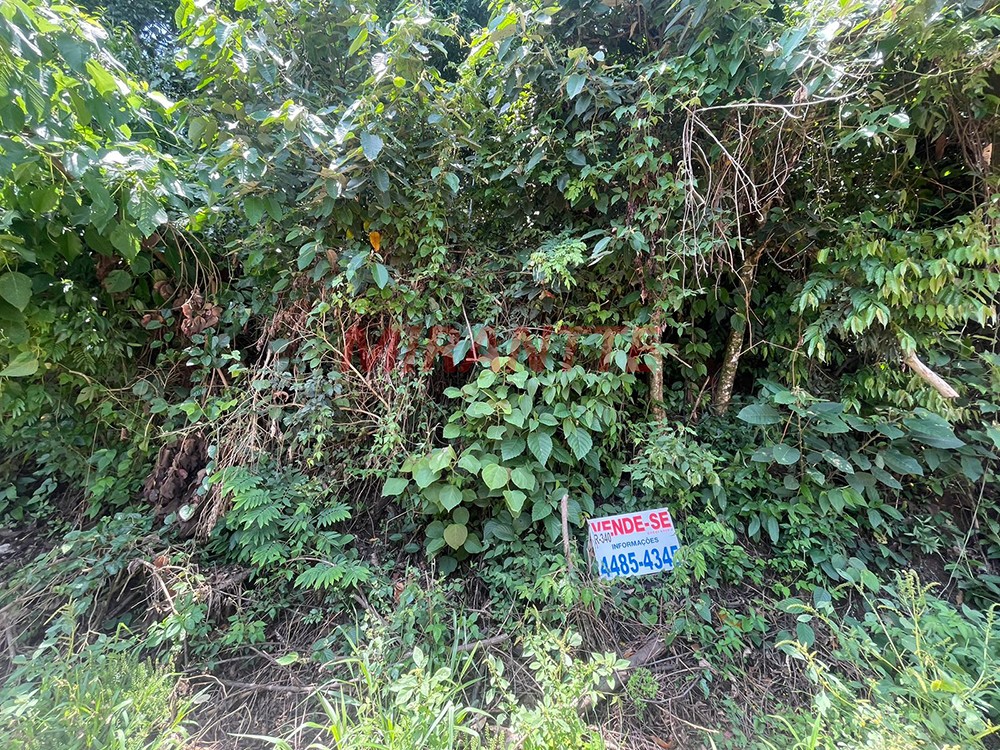 Terreno de 1.64m² em Centro – Mairiporã